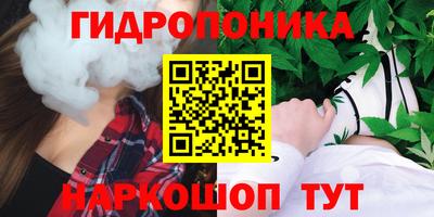 не бодяженный Кингисепп
