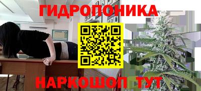 не бодяженный Кингисепп